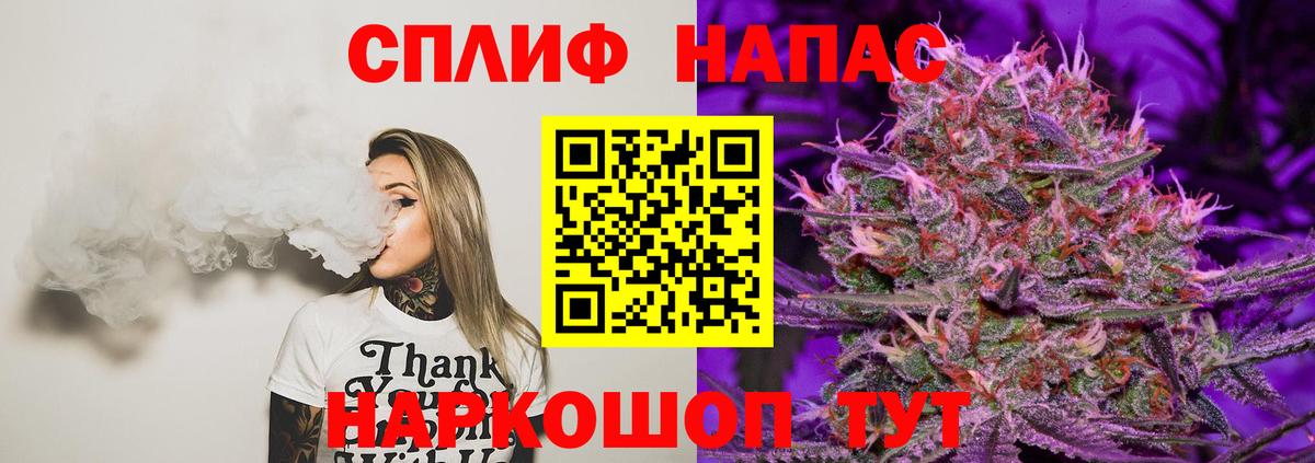 Бошки Шишки семена Александров